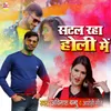 About Satal Raha Holi Mein Song